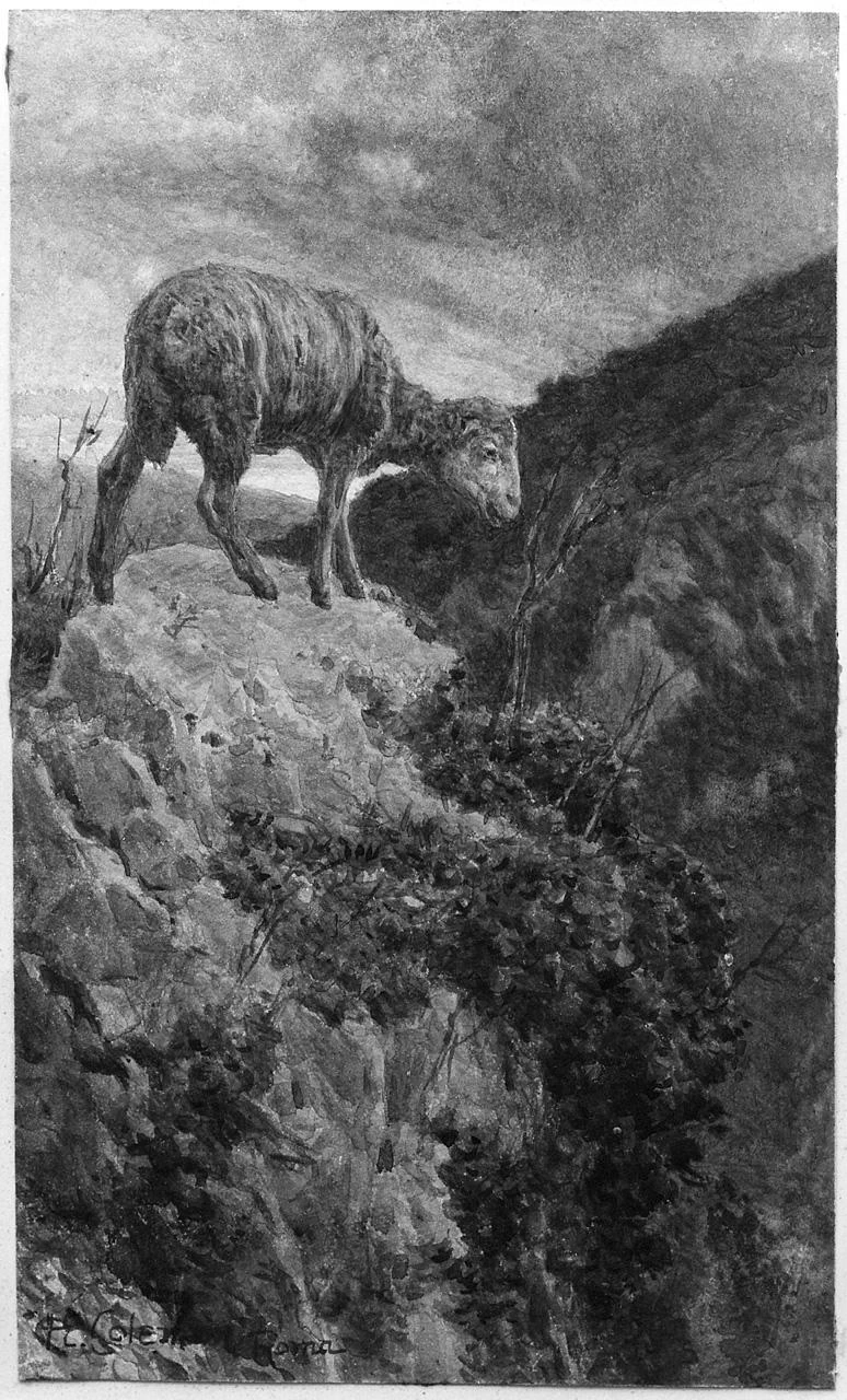 Paesaggio con pecora - Museo Civico, Pescia